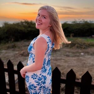 Excellent Reformation Chandelier Dress in Celestia Print